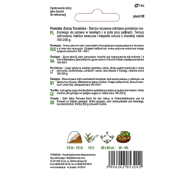 POMIDOR Zorza Toruńska WYSOKI MALINOWY Torseed